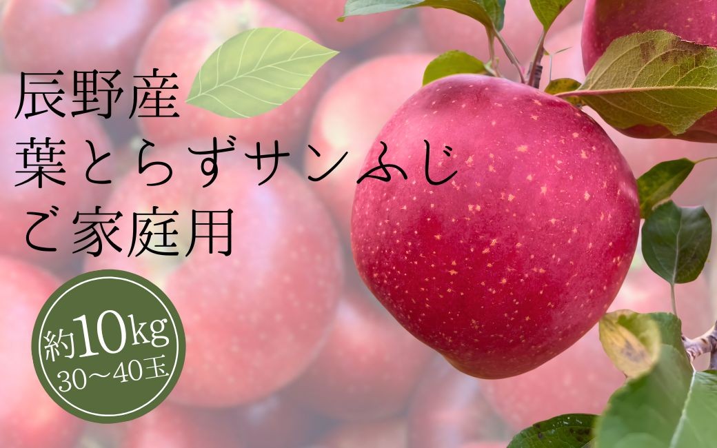 
                  469 家庭用 長野県辰野町産 サンふじ 葉とらずりんご 【MATSUDA FARM】
                