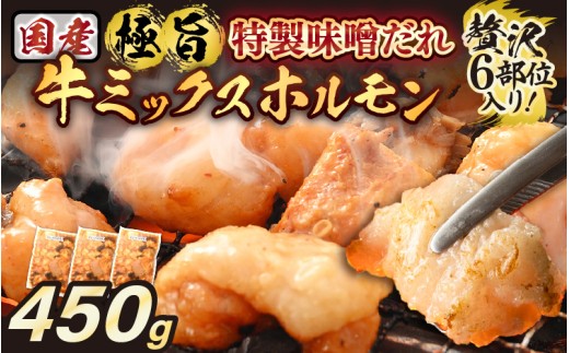 【訳あり】国産牛 ミックスホルモン 計450g（150g × 3袋）シマチョウ・ぷるぷる小腸・ハチノス・センマイ・ミノ・タケノコ 旨みそダレ漬！【12月発送】【お手軽 冷凍 小分け BBQ バーベキュー】 [e03-a058_12]