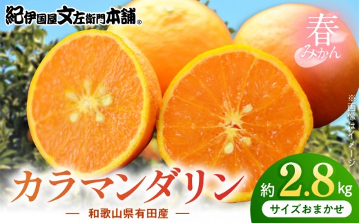 
                  カラマンダリン [約2.8kg] 和歌山県有田産 春みかん (果実サイズおまかせ) 春柑橘 紀伊国屋文左衛門本舗_V7415
                