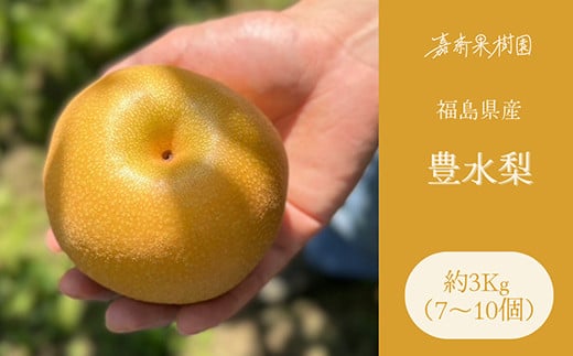<先行受付> 嘉斎果樹園の梨「豊水」約3kg(7~10個) なし