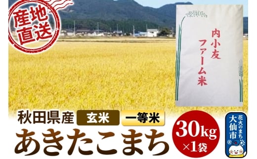 新米 米 令和7年産 秋田県産あきたこまち 一等米 農家直送 玄米30kg 内小友ファーム