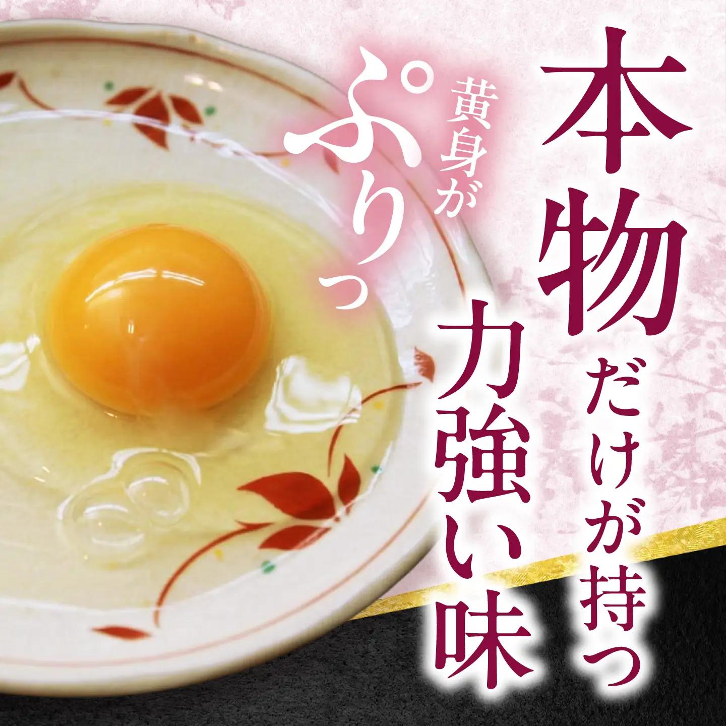 【定期便6回】名古屋コーチン 卵 毎月20個（18個＋割れ保証2個）×6ヶ月 / 卵 たまご 定期便 高級卵 / 稲沢市 / 櫛田養鶏場[BMAY014]