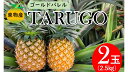 【ふるさと納税】東物産「TARUGO」2.5kg（2玉）　2024年発送