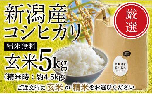 
【令和5年産米】【精米可】新潟産コシヒカリ 玄米5kg（精米時約4.5kg）
