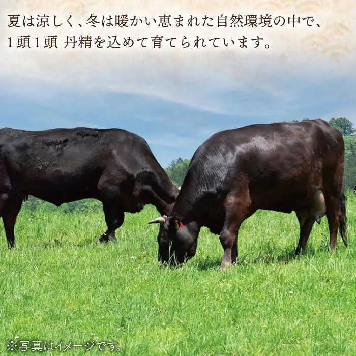 【大自然の贈り物！】長崎和牛 切り落とし 約800g【ながさき西海農業協同組合】[QAK009]