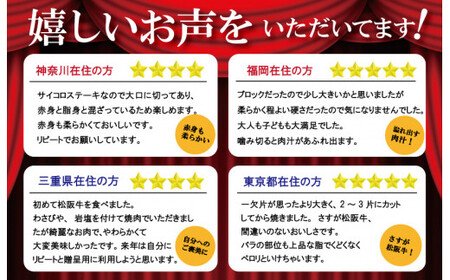 松阪牛 サイコロ ステーキ (モモ・バラ)240g×3P　SS3