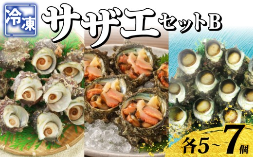 冷凍 さざえセットB （冷凍スチームさざえ＆お造りさざえ＆つぼ焼きさざえ和風だし） 各5～7個 スチーム加工 時短 殻付き さざえ 食べ比べ 海鮮 下処理済み 下関 山口 《さわ水産：SW》