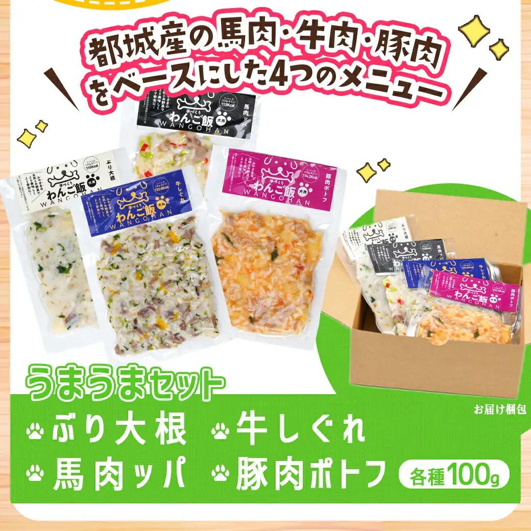 手づくり☆わんご飯『うまうまセット』_12-J501_(都城市) 犬用 手づくりご飯 ぶり大根 馬肉ッパ 牛しぐれ 豚肉ポトフ ドッグフード ペットフード