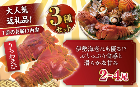 【3回定期便】平戸フィーバーの火付け役平戸瀬戸物語【平戸さくら水産】[KAA285]/ 長崎 平戸 魚介類 海老 えび エビ ウチワエビ サザエ ヒオウギ 貝 カキ 牡蠣 定期便