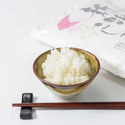 ふるさと納税 上越市 令和7年産 お米マイスターが育てた上越産コシヒカリ6kg(2kg×3) 白米　精米 |  | 03