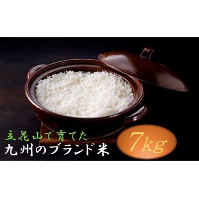 ふるさと納税 新宮町 立花山で育てた九州のブランド米・7キロ.B409