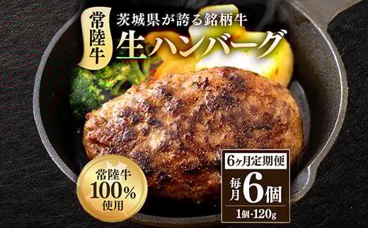 
            生ハンバーグ120g×6個 常陸牛 100％ 【6ヶ月連続お届け】 514
          