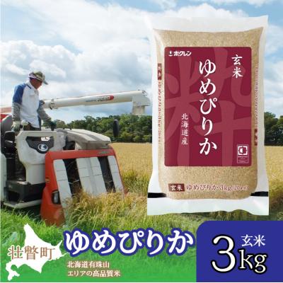 ふるさと納税 壮瞥町 【令和7年産】(玄米3kg)ホクレンゆめぴりか SBTD069