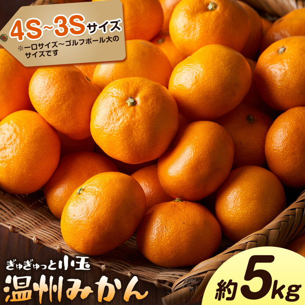 【ふるさと納税】みかん ぎゅぎゅっと 小玉 温州みかん 小玉みかん 約5kg 80個 ～ 120個 4S～3S ほがらか農園 《11月上旬-11月末出荷予定(土日祝除く)》和歌山県 日高川町 柑橘類 柑橘 果物 フルーツ ミカン みかん 温州 小粒