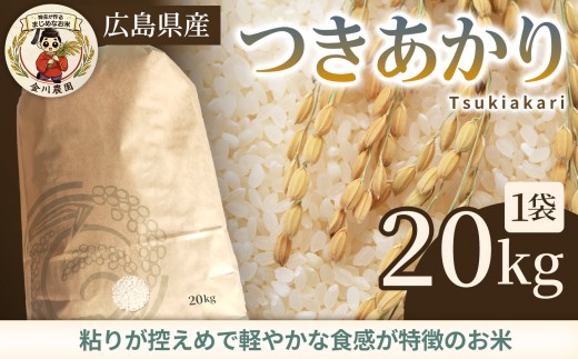 つきあかり 10kg 米 お米 ご飯 ごはん 白米 精米 238014