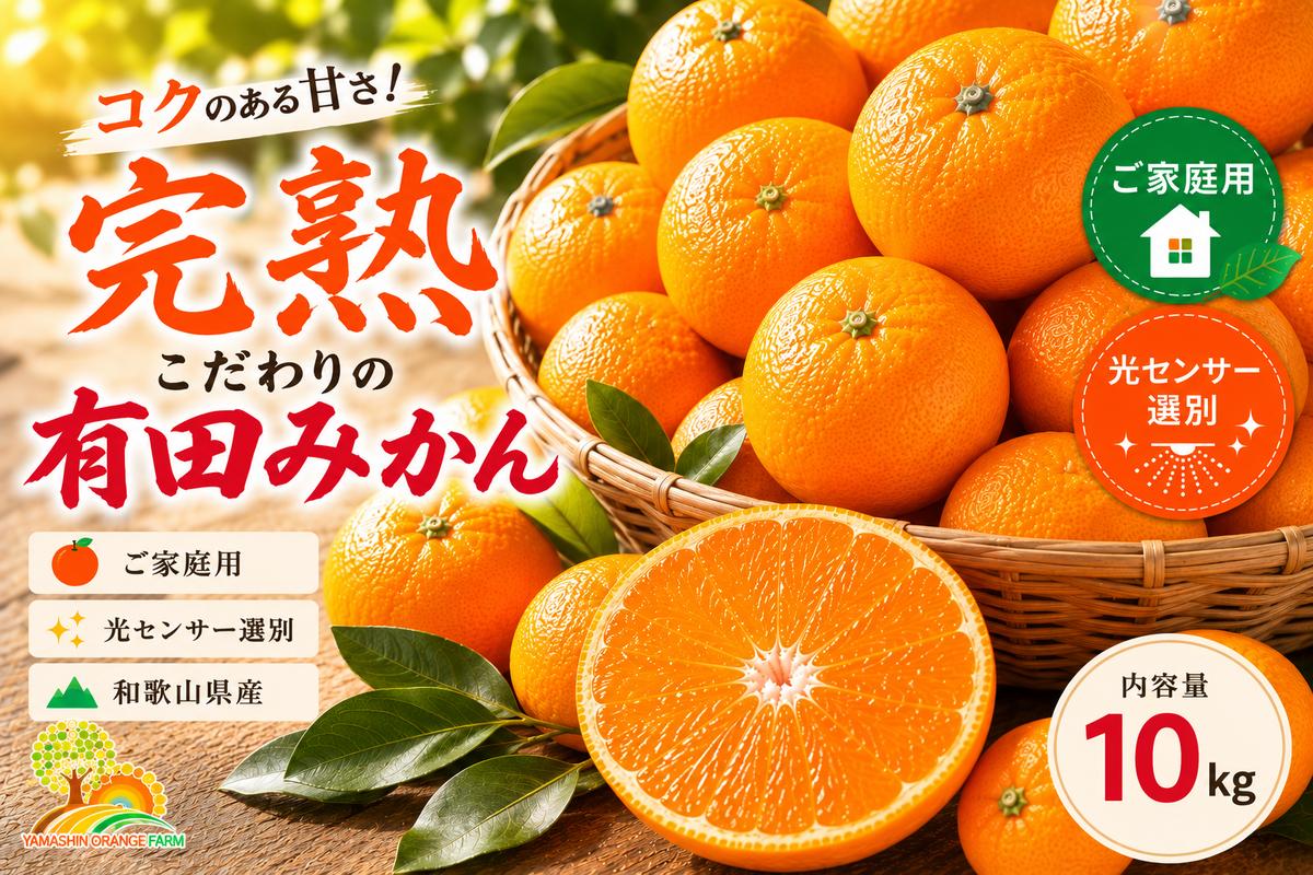 ＼光センサー選別／こだわりの完熟有田みかん 10kg＋150g(傷み補償分) 【ご家庭用】サイズ混合 有機質肥料100%｜ ふるさと納税 みかん