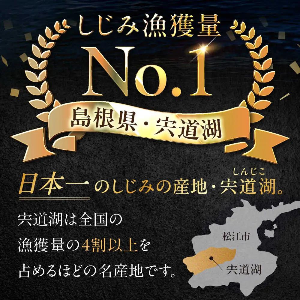 しじみ 【全6回定期便】宍道湖産 「しじみ」 200g×4 島根県松江市/有限会社ヤマヲ水産[ALDB022] しじみ しじみ