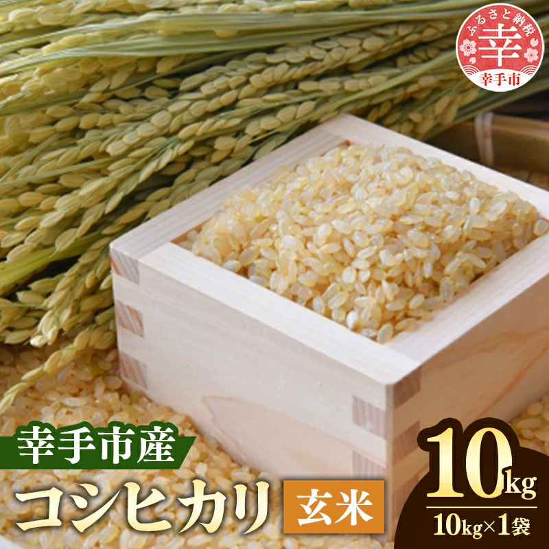 令和６年産　埼玉県幸手市権現堂産お米　玄米１０kgコシヒカリ - コシヒカリ こしひかり 2024年度産 玄米 10kg 桜の名所 埼玉県 幸手市 権現堂産 おすすめ【価格変更】