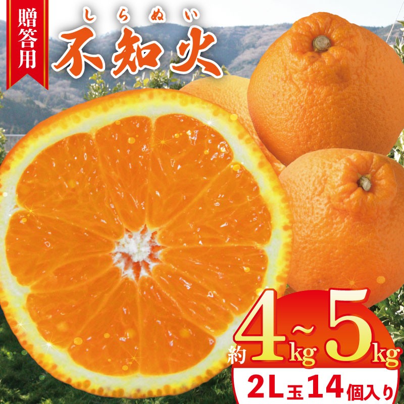 
                  不知火 2L玉 14個 (約4kg から 約5kg） 【 2027年3月発送予定 】 贈答用 しらぬい 柑橘 みかん オレンジ フルーツ 果物 徳島県 吉野川市 山下農園
                