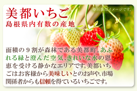 A-509 厳選プレミアム いちご（350g×2パック）