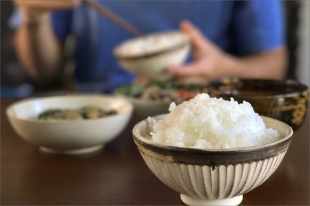 2025年産 京都・弥栄産 ササニシキ 玄米10kg（栽培期間中農薬不使用）