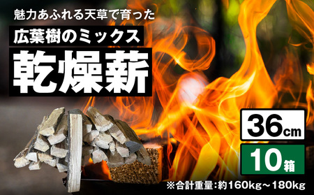 S163-013_魅力あふれる天草で育った広葉樹のミックス乾燥薪（36㎝）　
