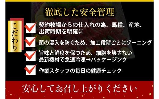 〈令和6年6月出荷〉肥後の桜馬刺し 上赤身 300g