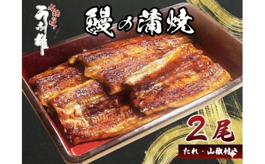 【国産】 国産 うなぎ 2尾 蒲焼 タレ 付き 山椒 付き ウナギ 鰻 蒲焼き 自家製 たれ うな雄の鰻 蒲焼 うなぎ ウナギ 土用の丑の日 土用 丑の日 国産 厳選 こだわり 人気 たれ たっぷり うな重 国産うなぎ ひつまぶし ウナギ 蒲焼 人気 山椒 贅沢 おすすめ 美味しい ご褒美 プレゼント ギフト 人気 贈り物 贈答 手土産 特産 簡単調理 冷蔵 ふるさと納税 静岡県 牧之原市 うな雄