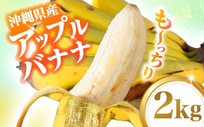 【2026年発送】ムッチリ食感！沖縄県産アップルバナナ 2kg バナナ フルーツ 果物 無農薬 banana 沖縄市 / タカエス フルーツ＆ベジタブル [BCBH001]