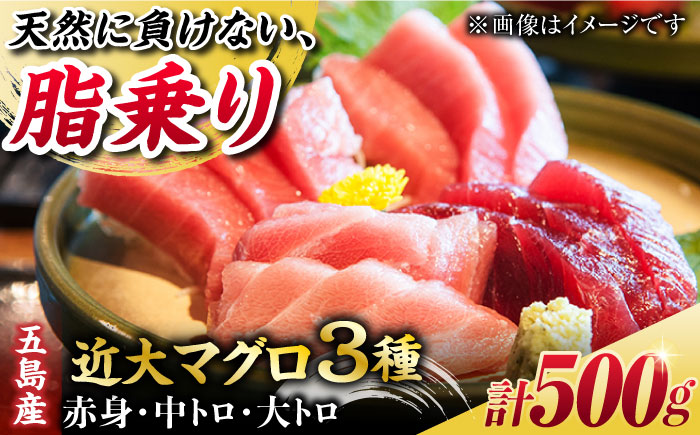 【数量限定！出荷日限定！新鮮マグロを解体→冷蔵でお届け！】長崎県五島産 近大マグロ 約500g (大トロ・中トロ・赤身) 刺身 お取り寄せ 高級 グルメ ギフト セット 海鮮 魚介 寿司 五島市/五島