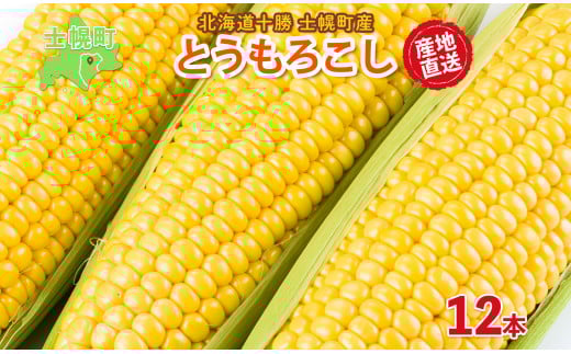 《期間限定》北海道 士幌産  とうもろこし  12本  (2025年8月中旬～発送開始予定) 約5kg スイートコーン 採れたて コーン 期間限定 新鮮 野菜 産地直送 産直 お取り寄せ 送料無料 十勝 士幌町【V02】