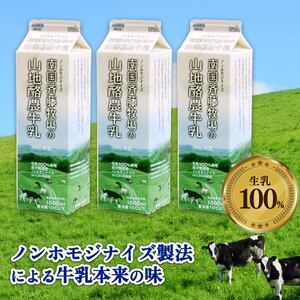 【6か月定期便】山地酪農牛乳1L×3本 バターができる ミルク 低温殺菌 生乳100％ 成分無調整 牛乳 高知県 南国市
