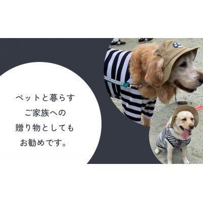 ふるさと納税 石巻市 きのこ アウトドアハット　ネイビーM ペット グッズ 撥水 帽子 キャップ 男の子 女の子 |  | 02