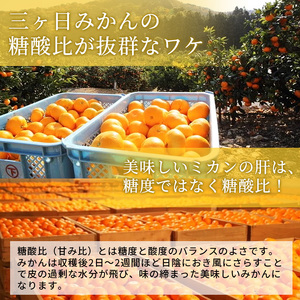 みかん 三ヶ日みかん 早生 8kg S〜L 優品 みかん