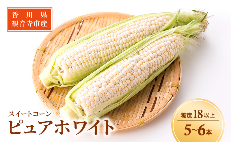 
                  《糖度18度以上》スイートコーン とうもろこし ピュアホワイト 5～6本 ※お届け：2025年6月中旬～7月上旬 野菜	
                
