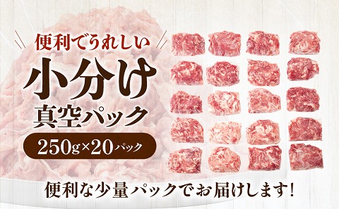 宮崎県産 豚肉 切り落とし 250g×20 合計5kg |豚肉 豚 ぶた 肉 国産 切り落とし 真空パック