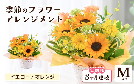 定期便 ≪3ヶ月連続お届け≫ 季節のフラワーアレンジメント M (イエロー・オレンジ) 花束 生花 プレゼント [C-20704_02]