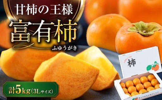 【先行予約】【11月上旬から順次発送】 富有（ふゆう）柿 3Lサイズ 約5kg箱（15玉入り） 愛媛県大洲市/愛媛たいき農業協同組合[AGAO012] 柿 かき カキ 果物 くだもの フルーツ 愛媛県産 大洲市産 産地直送 おすすめ 人気 お取り寄せ 送料無料 贈答 ギフト
