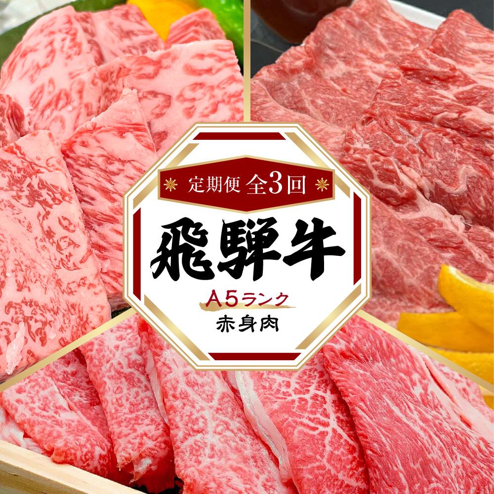 【ふるさと納税】飛騨牛 A5 赤身 定期便 全3回 約1kg（すき焼き しゃぶしゃぶ 焼肉） HF101　 | 飛騨牛　肉 お肉 にく 食品 人気 おすすめ 送料無料 ギフト