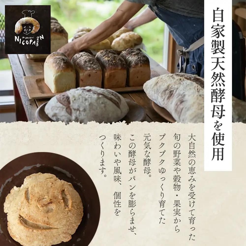 カラダヨロコブ天然酵母のニコパンセットB | パンパンパンパン
