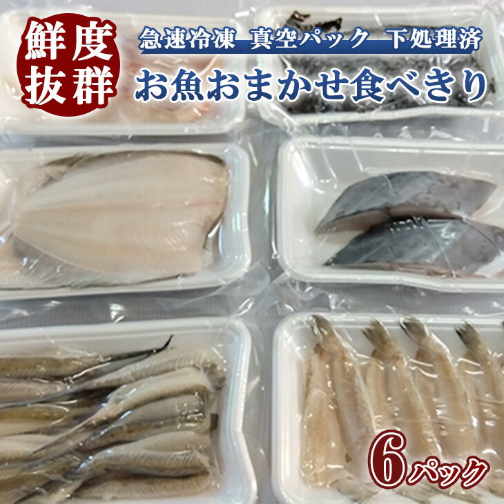 【ふるさと納税】鮮度抜群！お魚おまかせ食べきり6パック・下処理加工してあるので解凍してすぐに調理できます。 ※北海道・沖縄・離島への配送不可