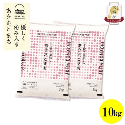
                  ＜毎月定期便＞秋田県産あきたこまち白米10kg(5kg×2)全3回【4072863】
                
