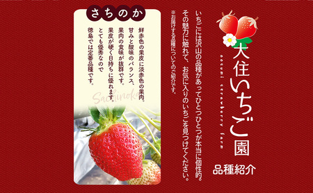 おすすめ品種「さちのか」4パック　250g×4パック　『とくしま安２（安全・安心）農産物』優秀認定取得