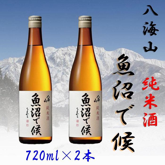 【ふるさと納税】酒 日本酒 セット 2本 × 720ml ( 八海山 純米酒 魚沼で候 ) 箱入り | お酒 さけ 人気 おすすめ 送料無料 ギフト