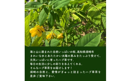 ハブ草茶 6パック セット 手積み 無農薬 オーガニック 天然 健康 ハブ茶 ノンカフェイン ティーバッグ 小分け ボタニカル 茶 お茶 日本茶 ティー 天日干し カフェインレス 高知県 須崎市 ねっ