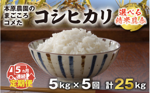 
【令和5年産】【5ヶ月連続お届け】本原農園のまごころコメたコシヒカリ 5kg × 5回 計25kg [C-8901]
