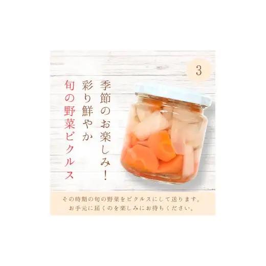 メルカドレグメス　ピクルス　3種セット ／ ピクルス ミニトマト うずらの卵 旬の野菜 自家製 セット 詰め合わせ