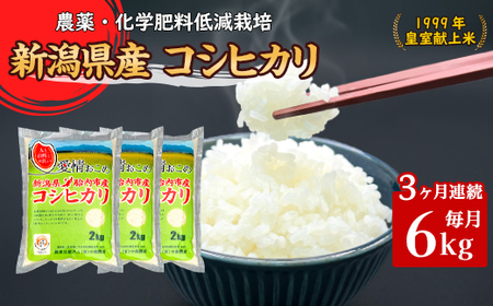 16-K63【3ヶ月連続お届け】新潟県胎内市産ちょっと贅沢なコシヒカリ6kg（2kg×3袋）