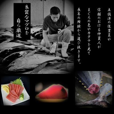 ふるさと納税 須崎市 キハダマグロ赤身　1kg |  | 03