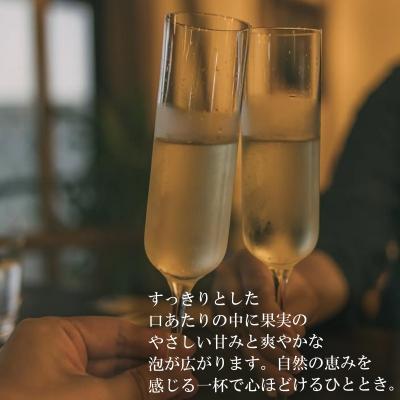 ふるさと納税 小川村 リンゴのシードル2本セット*269 |  | 02